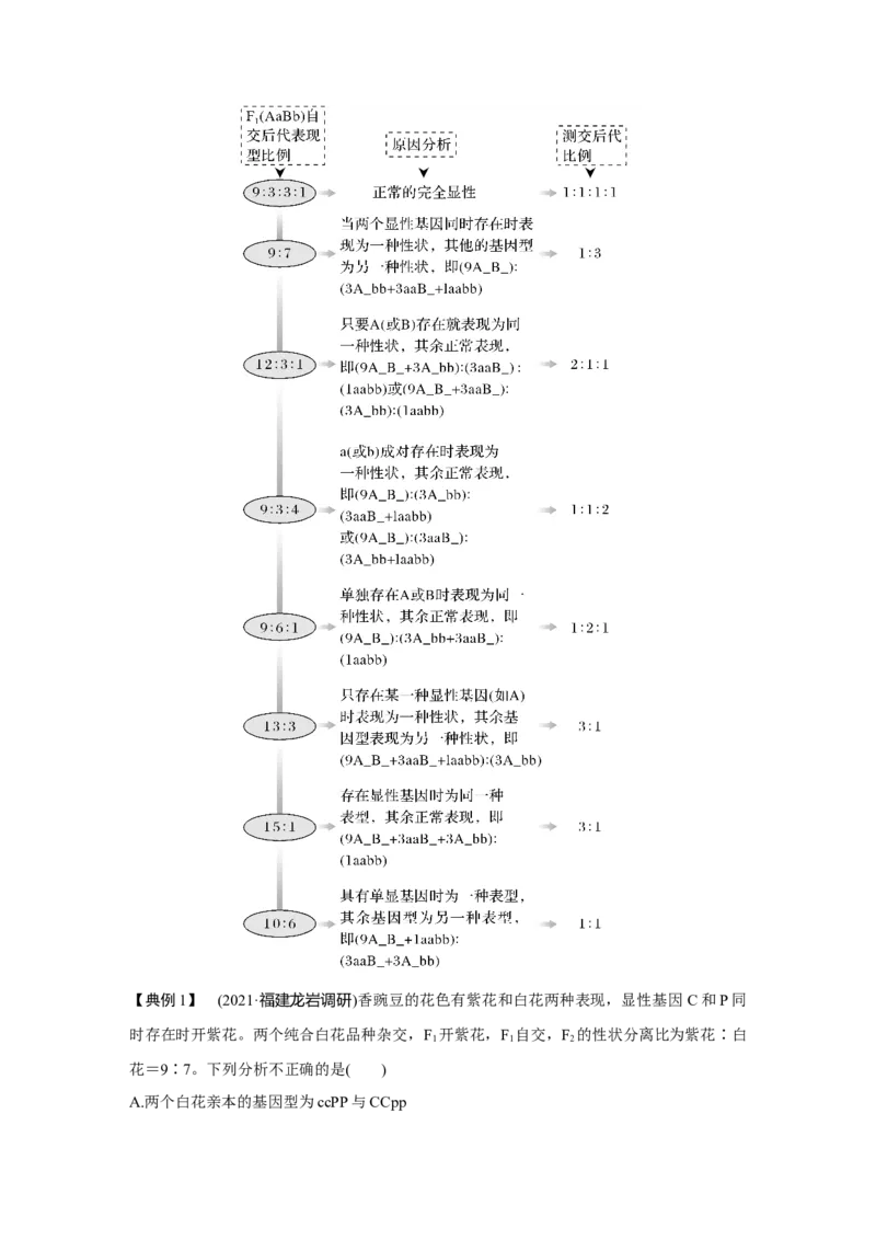 微专题10　自由组合定律中的特殊比例及成因_新高考复习资料_2023年新高考复习资料_一轮复习_2023年新高考大一轮复习讲义_2023年高考生物一轮复习讲义（新人教新高考）_赠补充习题
