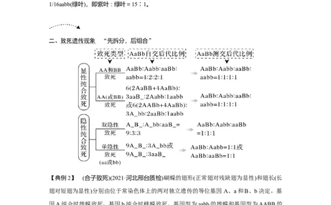 微专题10　自由组合定律中的特殊比例及成因_新高考复习资料_2023年新高考复习资料_一轮复习_2023年新高考大一轮复习讲义_2023年高考生物一轮复习讲义（新人教新高考）_赠补充习题