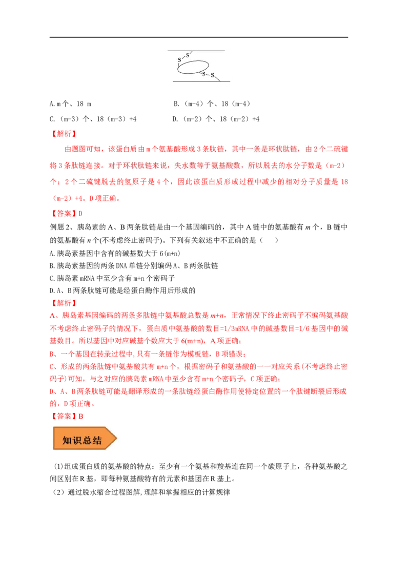 易错点03蛋白质合成的相关计算-备战2023年高考生物考试易错题（全国通用）（解析版）_通用版（老高考）复习资料_2023年复习资料_专项复习_备战2023年高考生物考试易错题（全国通用）