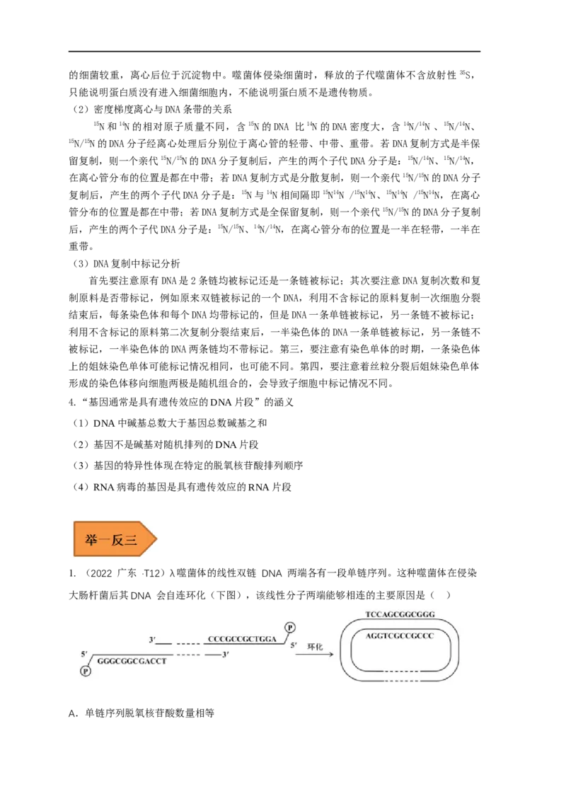 易错点18关于基因的本质的遗传题（解析版）_通用版（老高考）复习资料_2023年复习资料_专项复习_备战2023年高考生物考试易错题（全国通用）_易错点18关于基因的本质的遗传题