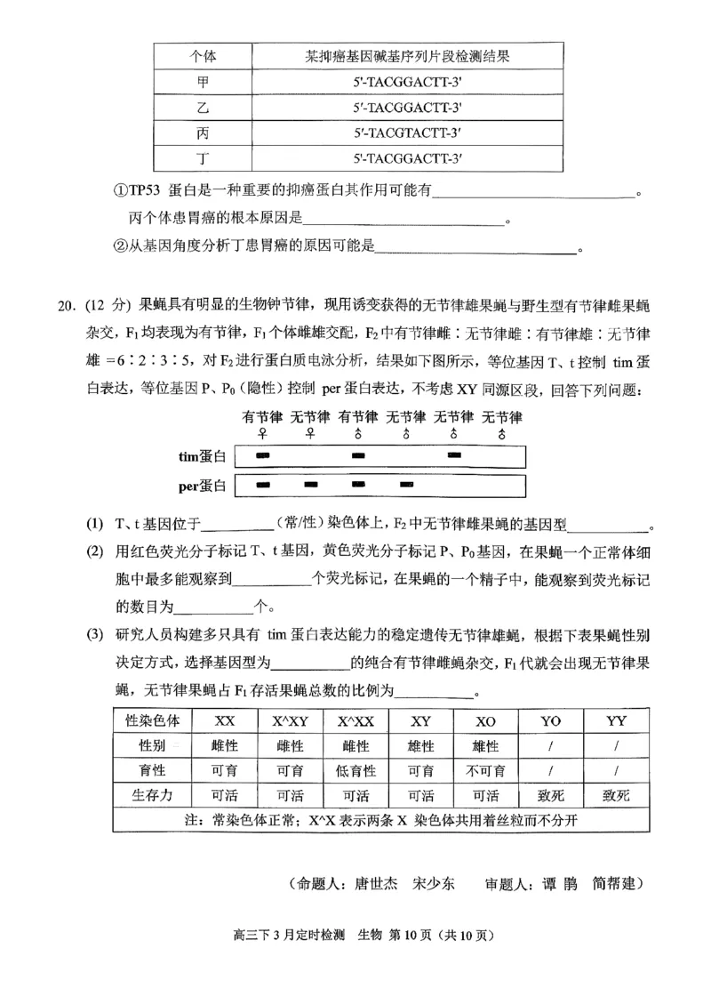 [56621228]重庆市北碚区西南大学附属中学校2025-2026学年高三下学期开学考试生物试题_2024-2026高三（6-6月题库）_2026年03月高三试卷_260304西南大学附属中学校2025-2026学年高三下学期开学
