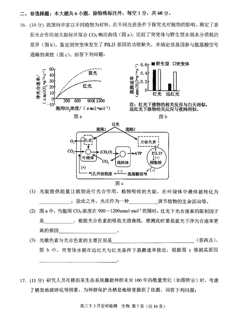 [56621228]重庆市北碚区西南大学附属中学校2025-2026学年高三下学期开学考试生物试题_2024-2026高三（6-6月题库）_2026年03月高三试卷_260304西南大学附属中学校2025-2026学年高三下学期开学
