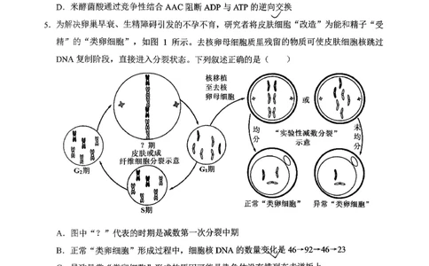[56621228]重庆市北碚区西南大学附属中学校2025-2026学年高三下学期开学考试生物试题_2024-2026高三（6-6月题库）_2026年03月高三试卷_260304西南大学附属中学校2025-2026学年高三下学期开学