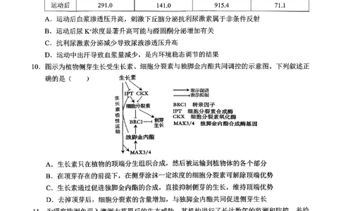 [56621228]重庆市北碚区西南大学附属中学校2025-2026学年高三下学期开学考试生物试题_2024-2026高三（6-6月题库）_2026年03月高三试卷_260304西南大学附属中学校2025-2026学年高三下学期开学