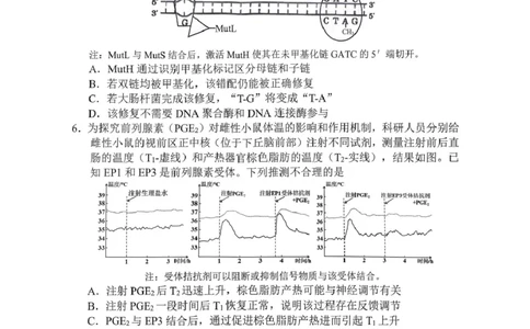 生物试题_2024-2026高三（6-6月题库）_2026年04月高三试卷_260402四川省南充市高2026届高考适应性考试（二诊）（全科）