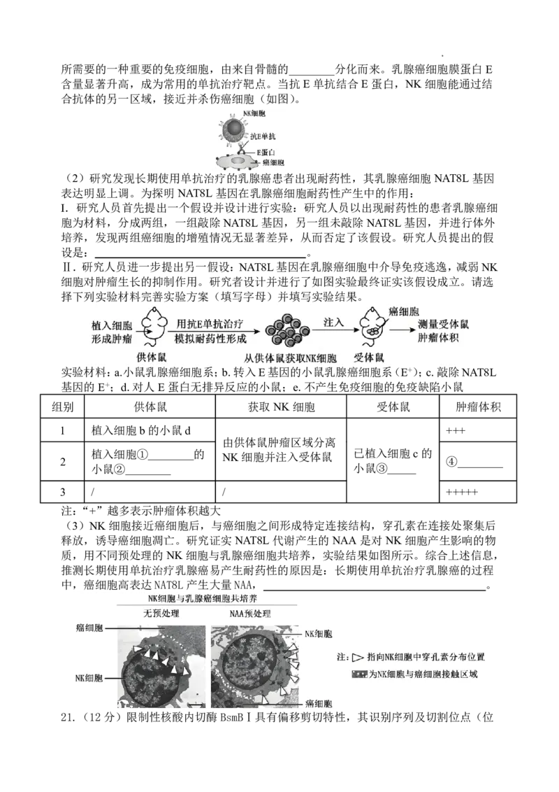 生物-山西大学附属中学校2026届高三下学期2月开学考_2024-2026高三（6-6月题库）_2026年02月高三试卷_260226山西大学附属中学校2026届高三下学期2月开学考