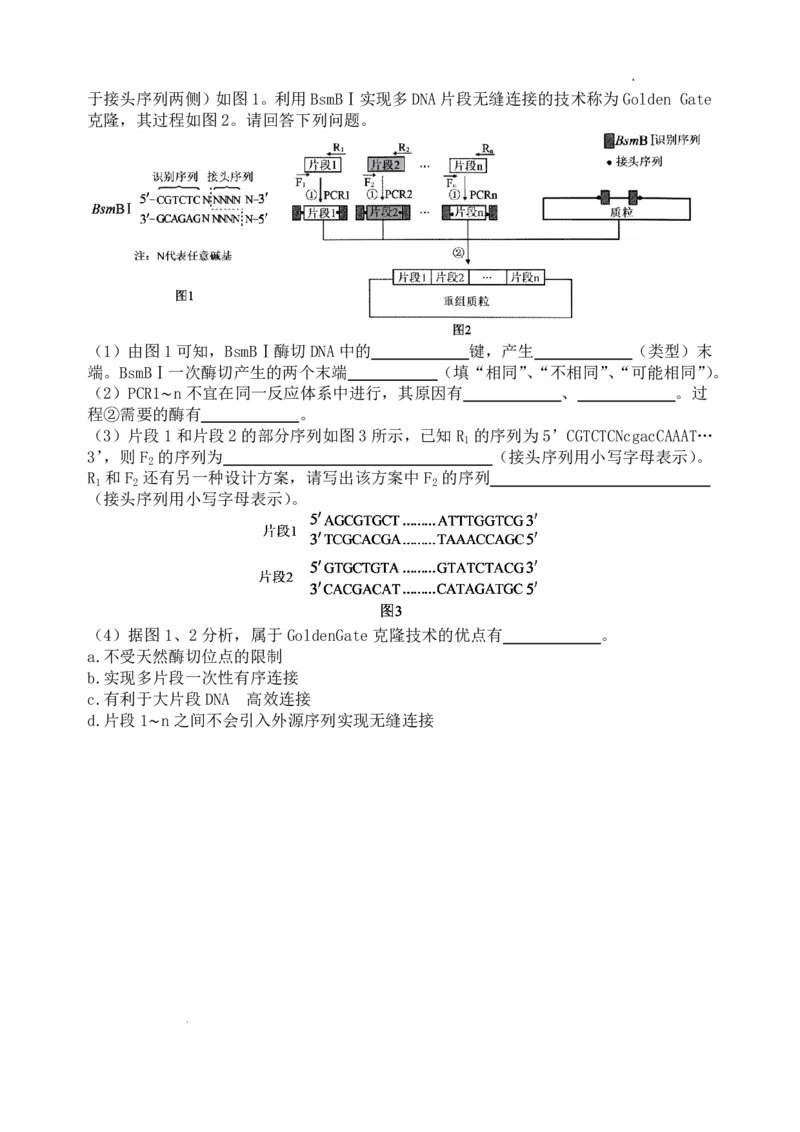 生物-山西大学附属中学校2026届高三下学期2月开学考_2024-2026高三（6-6月题库）_2026年02月高三试卷_260226山西大学附属中学校2026届高三下学期2月开学考