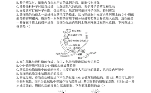 生物-山西大学附属中学校2026届高三下学期2月开学考_2024-2026高三（6-6月题库）_2026年02月高三试卷_260226山西大学附属中学校2026届高三下学期2月开学考