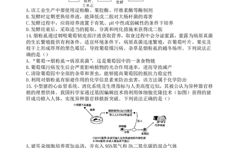 生物-山西大学附属中学校2026届高三下学期2月开学考_2024-2026高三（6-6月题库）_2026年02月高三试卷_260226山西大学附属中学校2026届高三下学期2月开学考