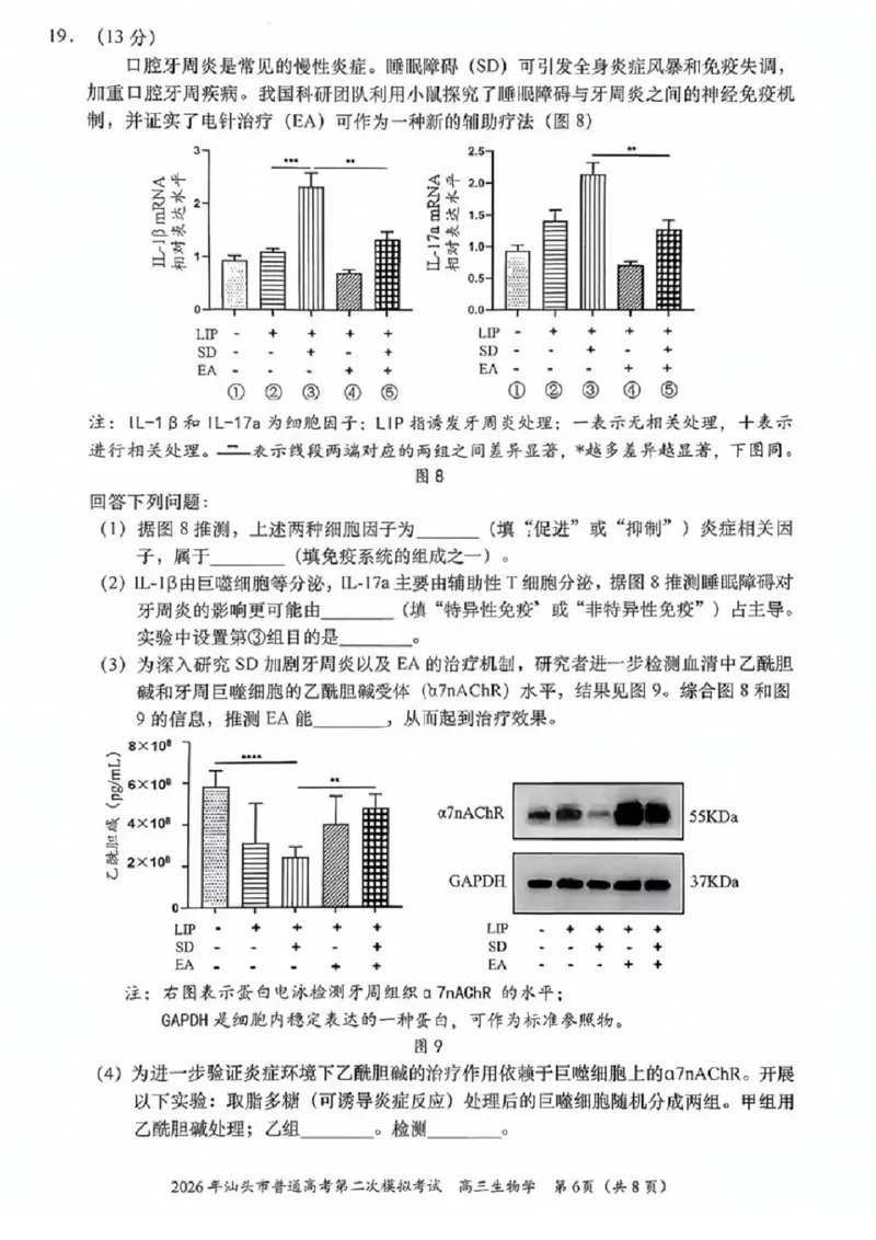 生物试题卷_2024-2026高三（6-6月题库）_2026年04月高三试卷_260428广东省汕头市2026年高三年级普通高考第二次模拟考试（全科）_2026年汕头市普通高考第二次模拟考试生物