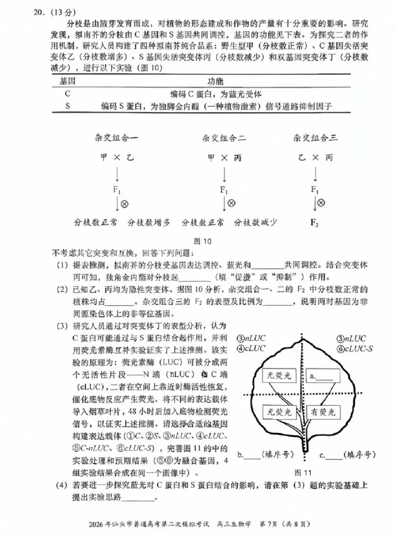 生物试题卷_2024-2026高三（6-6月题库）_2026年04月高三试卷_260428广东省汕头市2026年高三年级普通高考第二次模拟考试（全科）_2026年汕头市普通高考第二次模拟考试生物