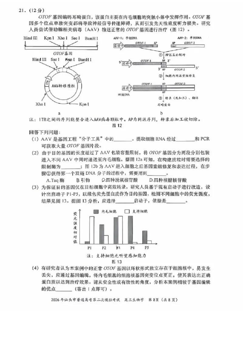 生物试题卷_2024-2026高三（6-6月题库）_2026年04月高三试卷_260428广东省汕头市2026年高三年级普通高考第二次模拟考试（全科）_2026年汕头市普通高考第二次模拟考试生物