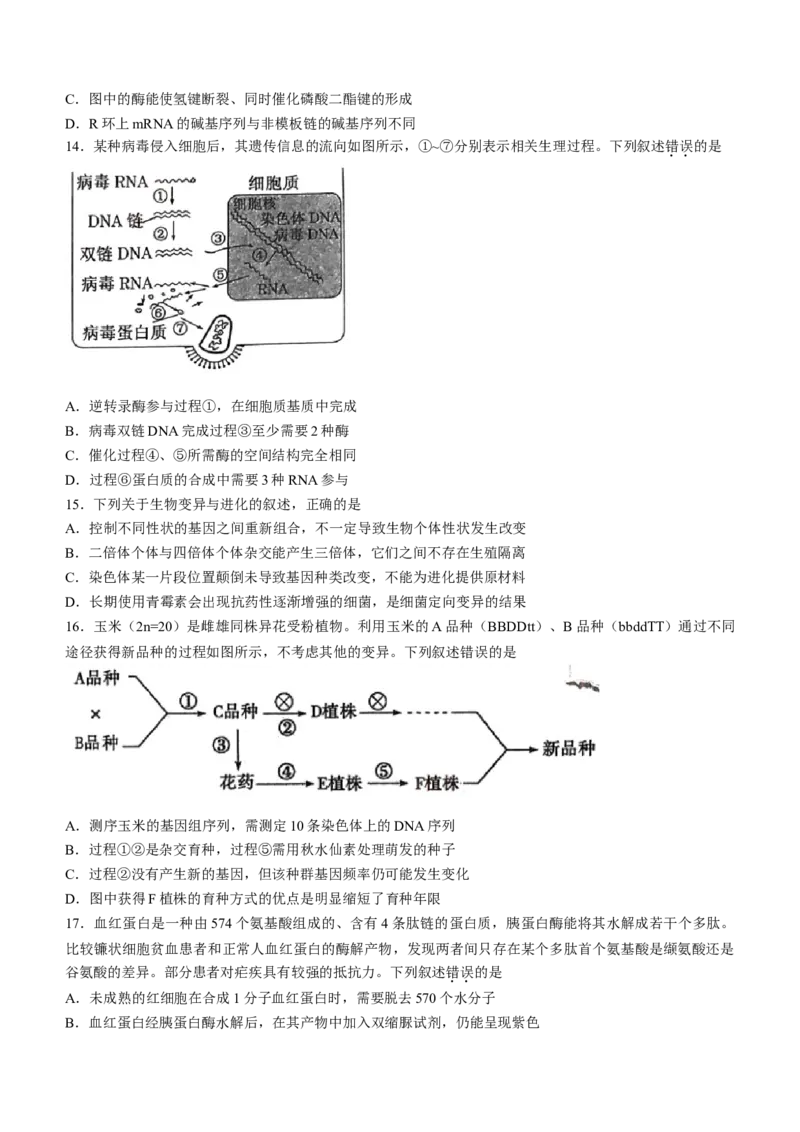 安徽省皖江名校联盟2022-2023学年高三上学期开学考试生物_生物高考模拟题_老高考_2023年