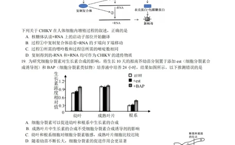 生物试卷-杭州二中2025学年第二学期高三年级开学考_2024-2026高三（6-6月题库）_2026年03月高三试卷_260328浙江省杭州二中2025学年第二学期高三年级三月月考（全科）