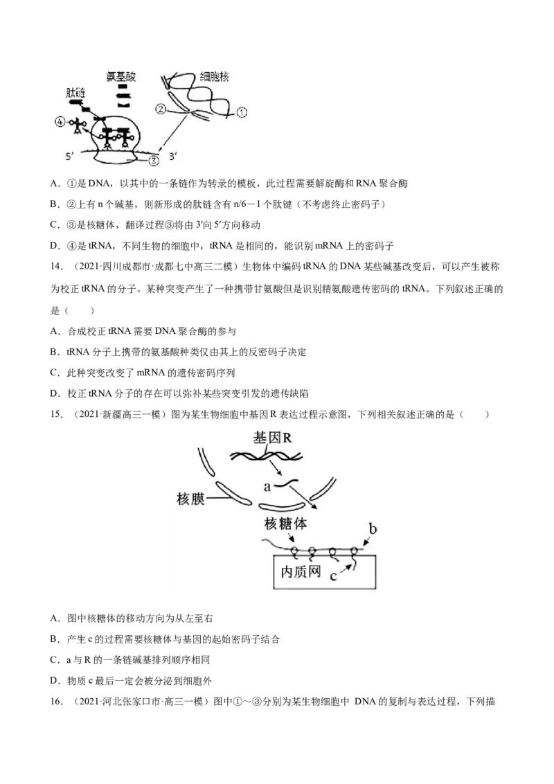 押新课标全国卷第2题-备战2021年高考生物临考题号押题（新课标卷）（原卷版）_新高考复习资料_2021年新高考资料_备战2021年高考生物临考题号押题（新课标卷）
