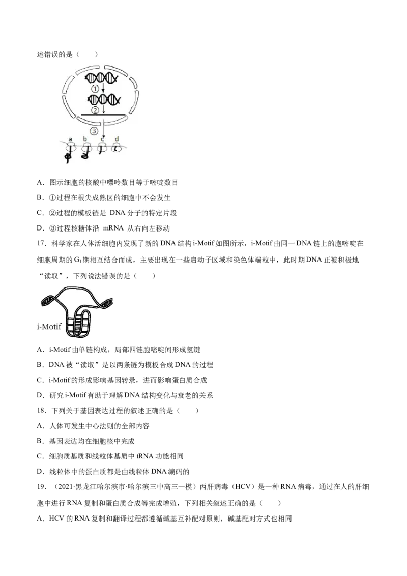 押新课标全国卷第2题-备战2021年高考生物临考题号押题（新课标卷）（原卷版）_新高考复习资料_2021年新高考资料_备战2021年高考生物临考题号押题（新课标卷）