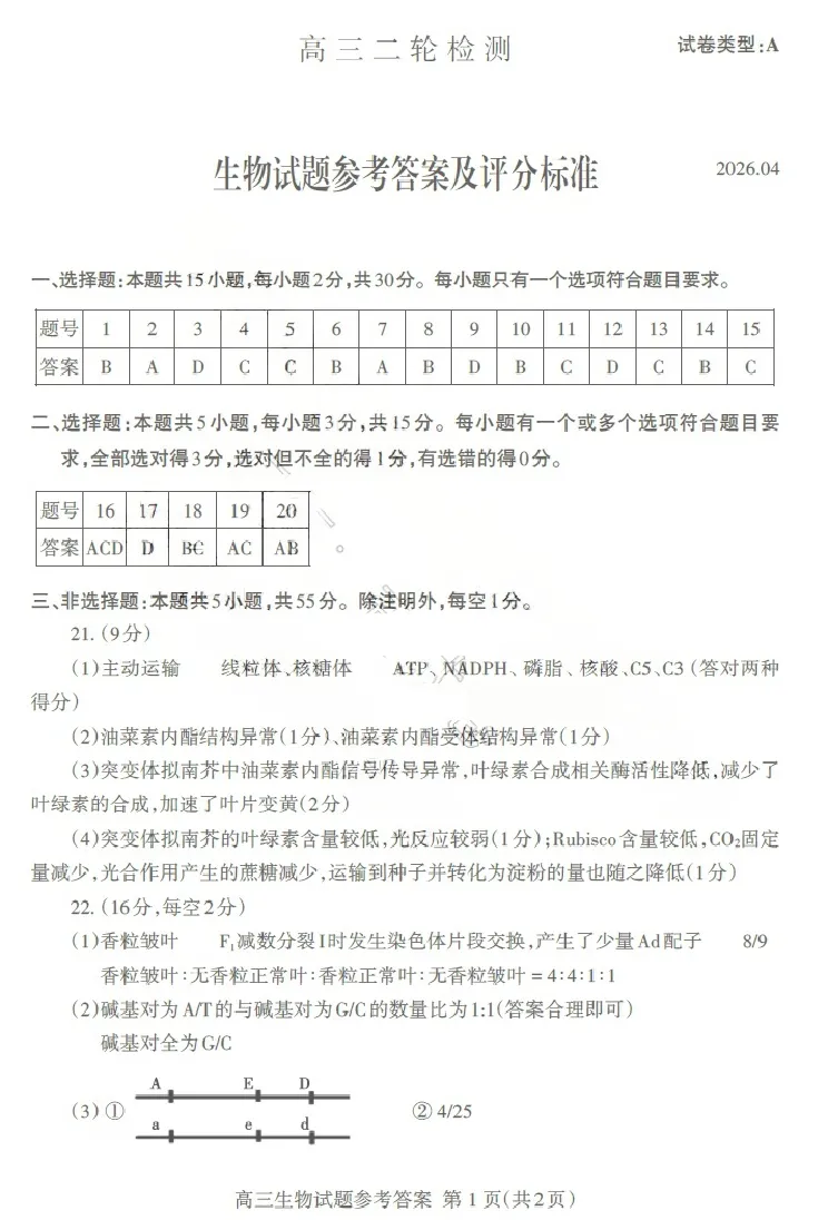 生物答案_2024-2026高三（6-6月题库）_2026年04月高三试卷_260418山东省泰安市2026年高三二模考试（全科）_山东省泰安市2026年高三二模考试生物试题