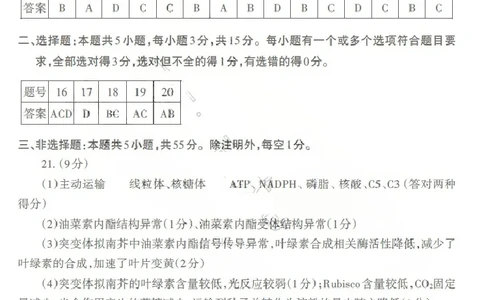 生物答案_2024-2026高三（6-6月题库）_2026年04月高三试卷_260418山东省泰安市2026年高三二模考试（全科）_山东省泰安市2026年高三二模考试生物试题