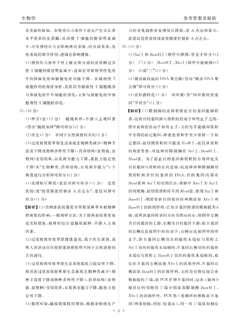 安康高三生物答案_2024-2026高三（6-6月题库）_2026年04月高三试卷_260417陕西省2025-2026学年高三衡水金卷4月联考（安康阶段性检测）_陕西安康市2026届高三年级阶段性检测生物学