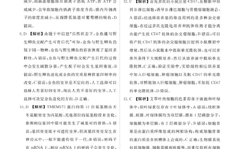 安康高三生物答案_2024-2026高三（6-6月题库）_2026年04月高三试卷_260417陕西省2025-2026学年高三衡水金卷4月联考（安康阶段性检测）_陕西安康市2026届高三年级阶段性检测生物学