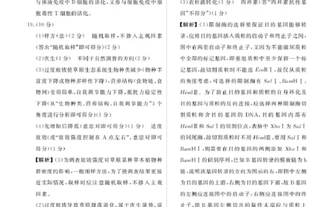 安康高三生物答案_2024-2026高三（6-6月题库）_2026年04月高三试卷_260417陕西省2025-2026学年高三衡水金卷4月联考（安康阶段性检测）_陕西安康市2026届高三年级阶段性检测生物学