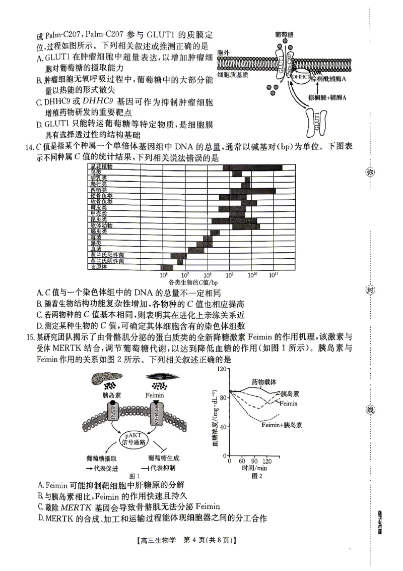 江西&ldquo;三新&rdquo;协同教研共同体2026届高三4月学科阶段训练（26-318C）生物_2024-2026高三（6-6月题库）_2026年04月高三试卷
