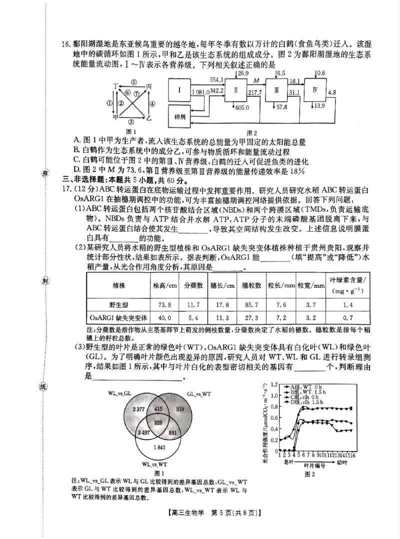 江西&ldquo;三新&rdquo;协同教研共同体2026届高三4月学科阶段训练（26-318C）生物_2024-2026高三（6-6月题库）_2026年04月高三试卷