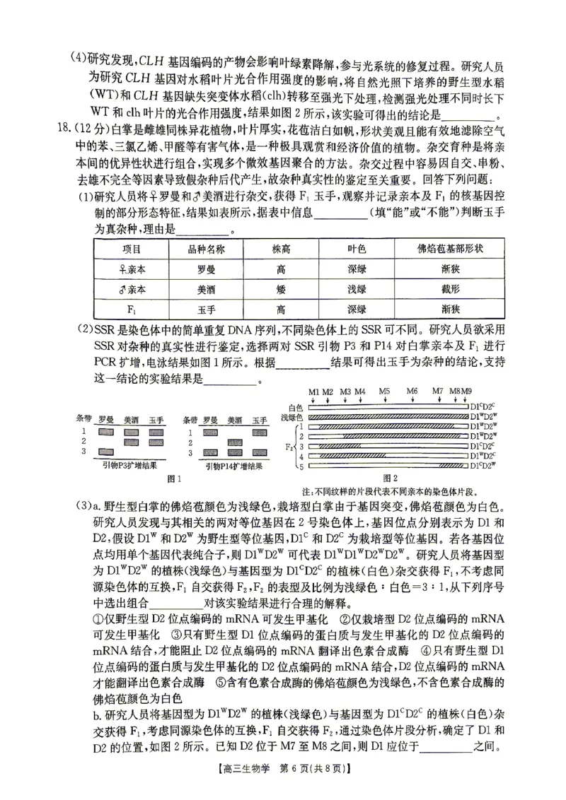 江西&ldquo;三新&rdquo;协同教研共同体2026届高三4月学科阶段训练（26-318C）生物_2024-2026高三（6-6月题库）_2026年04月高三试卷