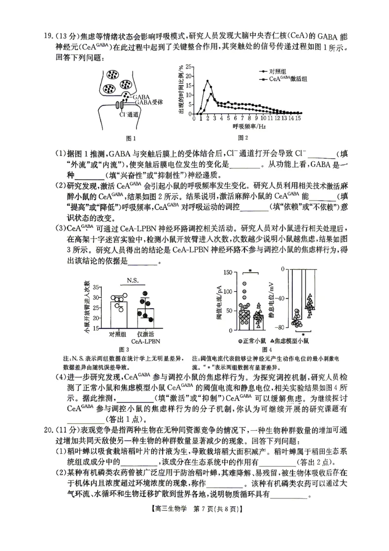 江西&ldquo;三新&rdquo;协同教研共同体2026届高三4月学科阶段训练（26-318C）生物_2024-2026高三（6-6月题库）_2026年04月高三试卷