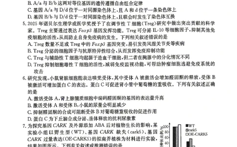 江西&ldquo;三新&rdquo;协同教研共同体2026届高三4月学科阶段训练（26-318C）生物_2024-2026高三（6-6月题库）_2026年04月高三试卷