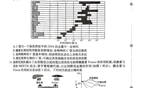 江西&ldquo;三新&rdquo;协同教研共同体2026届高三4月学科阶段训练（26-318C）生物_2024-2026高三（6-6月题库）_2026年04月高三试卷