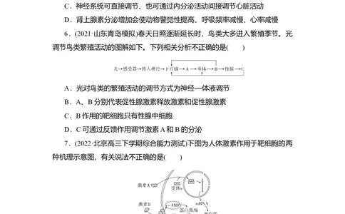 夯基提能练26通过激素的调节、神经调节与体液调节的关系-备战2023高考生物一轮复习夯基提能练（全国通用）（解析版）_通用版（老高考）复习资料_2023年复习资料_一轮复习