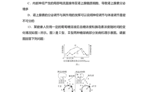 夯基提能练26通过激素的调节、神经调节与体液调节的关系-备战2023高考生物一轮复习夯基提能练（全国通用）（解析版）_通用版（老高考）复习资料_2023年复习资料_一轮复习