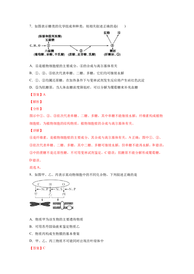 易错点01组成细胞的分子-2021年高考生物一轮复习易错题（教师版含解析）_新高考复习资料_2023年新高考复习资料_一轮复习_2023年新高考大一轮复习讲义