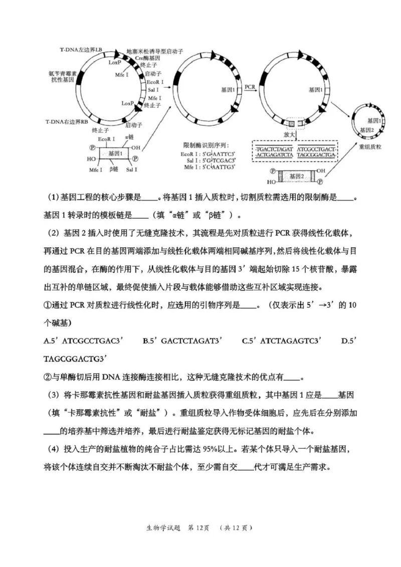 日照市第一中学2025-2026学年高三下学期3月份单元质量检测生物_2024-2026高三（6-6月题库）_2026年04月高三试卷