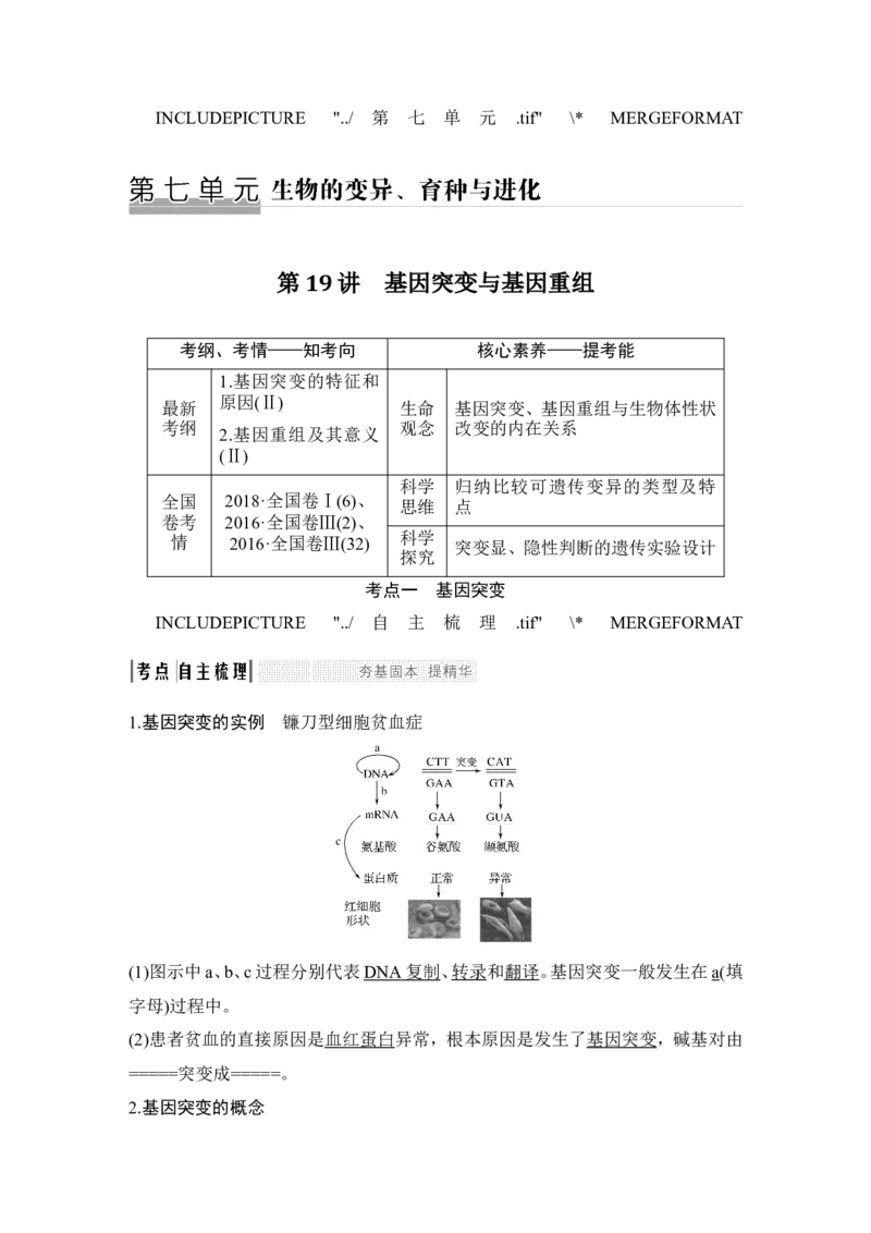 必修二第七单元第19讲_新高考复习资料_2022年新高考复习资料_2022年一轮复习最新版_1.2022年高考生物一轮复习全国通用版_2022年新高考生物一轮复习讲义（最新版）_赠送word习题库