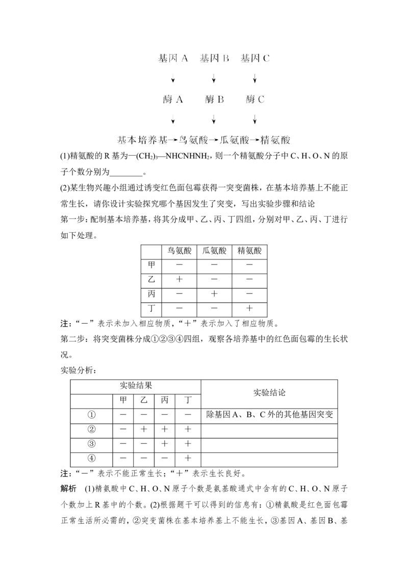 必修二第七单元第19讲_新高考复习资料_2022年新高考复习资料_2022年一轮复习最新版_1.2022年高考生物一轮复习全国通用版_2022年新高考生物一轮复习讲义（最新版）_赠送word习题库