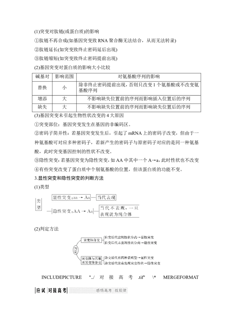 必修二第七单元第19讲_新高考复习资料_2022年新高考复习资料_2022年一轮复习最新版_1.2022年高考生物一轮复习全国通用版_2022年新高考生物一轮复习讲义（最新版）_赠送word习题库