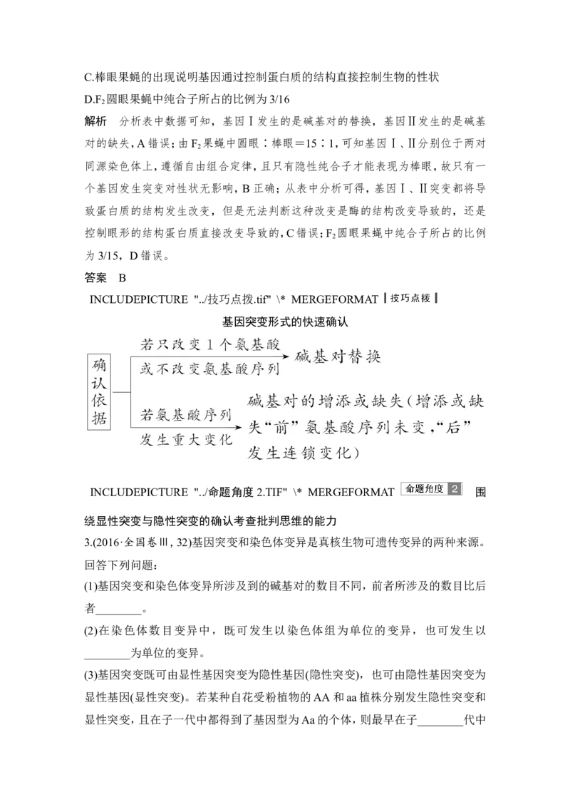 必修二第七单元第19讲_新高考复习资料_2022年新高考复习资料_2022年一轮复习最新版_1.2022年高考生物一轮复习全国通用版_2022年新高考生物一轮复习讲义（最新版）_赠送word习题库