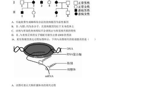 安徽省宣城市三校2022-2023学年高二上学期期初联考生物试题_生物高考模拟题_老高考_2023年