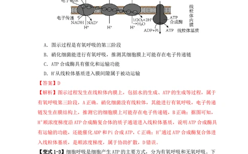 易错点01真核生物和原核生物的辨析（4大陷阱）（解析版）_新高考复习资料_2024年新高考复习资料_❤专项复习资料_完备战2024年高考生物考试易错题（新高考专用）