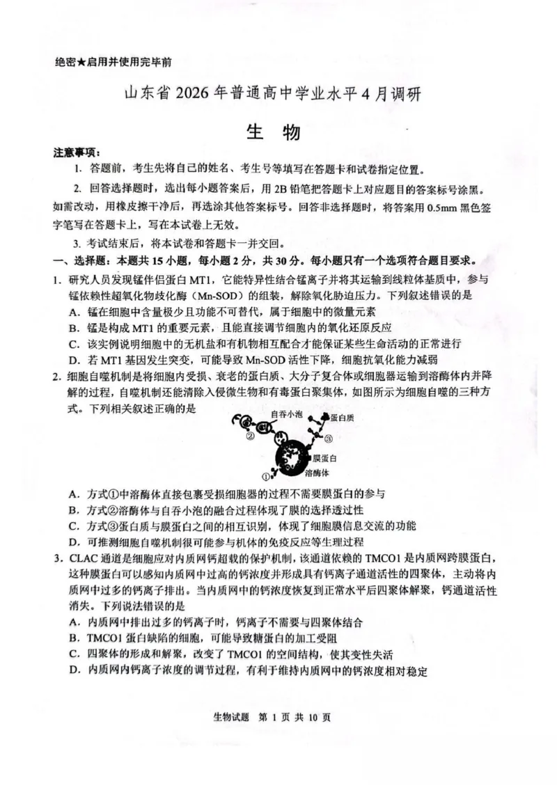 山东省2026届普通高中学业水平4月调研生物试卷（含答案）_2024-2026高三（6-6月题库）_2026年04月高三试卷_260405山东省2026年普通高中学业水平4月调研