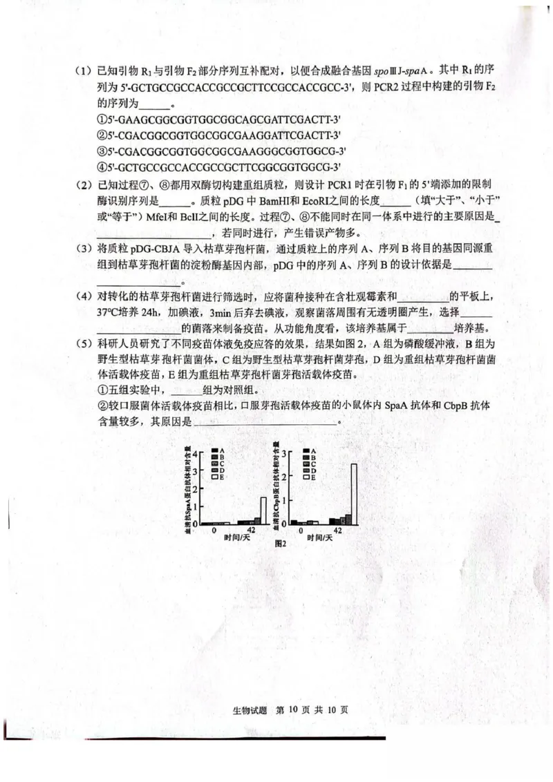 山东省2026届普通高中学业水平4月调研生物试卷（含答案）_2024-2026高三（6-6月题库）_2026年04月高三试卷_260405山东省2026年普通高中学业水平4月调研