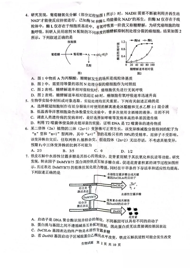 山东省2026届普通高中学业水平4月调研生物试卷（含答案）_2024-2026高三（6-6月题库）_2026年04月高三试卷_260405山东省2026年普通高中学业水平4月调研