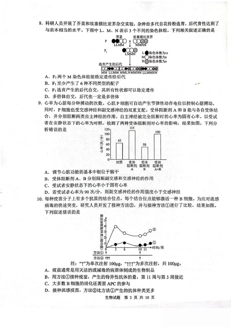 山东省2026届普通高中学业水平4月调研生物试卷（含答案）_2024-2026高三（6-6月题库）_2026年04月高三试卷_260405山东省2026年普通高中学业水平4月调研