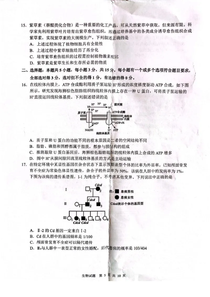 山东省2026届普通高中学业水平4月调研生物试卷（含答案）_2024-2026高三（6-6月题库）_2026年04月高三试卷_260405山东省2026年普通高中学业水平4月调研