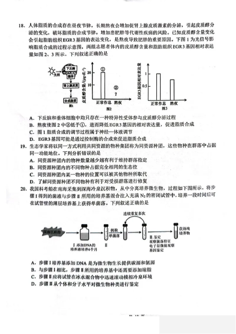 山东省2026届普通高中学业水平4月调研生物试卷（含答案）_2024-2026高三（6-6月题库）_2026年04月高三试卷_260405山东省2026年普通高中学业水平4月调研
