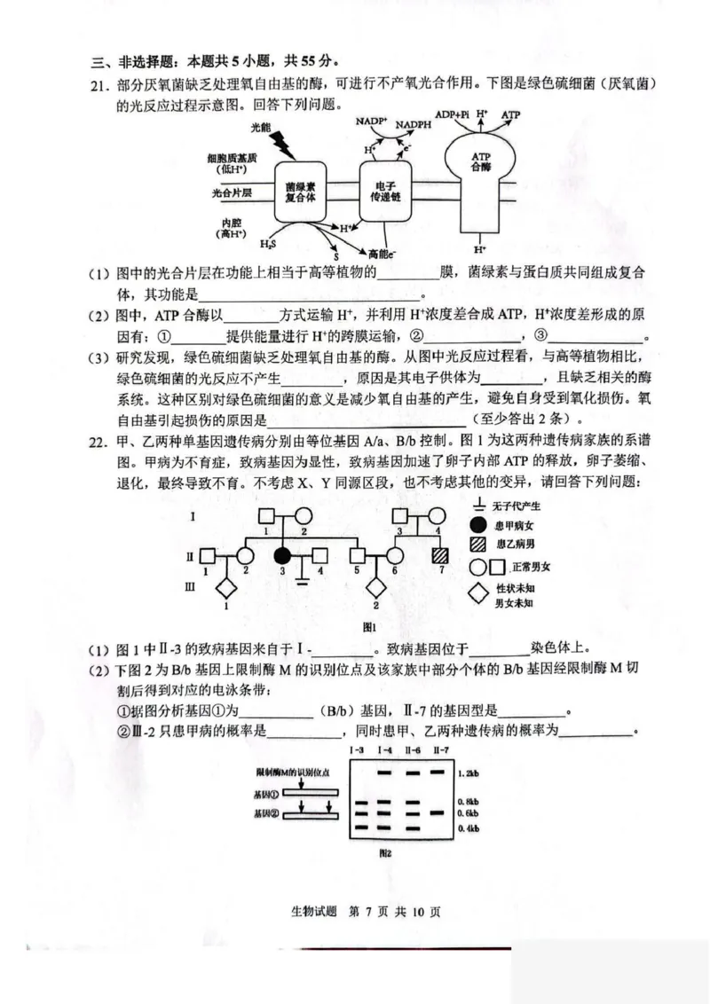 山东省2026届普通高中学业水平4月调研生物试卷（含答案）_2024-2026高三（6-6月题库）_2026年04月高三试卷_260405山东省2026年普通高中学业水平4月调研