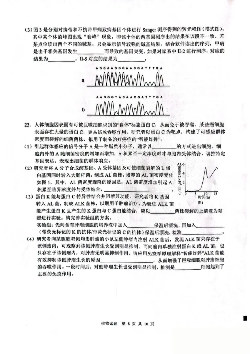 山东省2026届普通高中学业水平4月调研生物试卷（含答案）_2024-2026高三（6-6月题库）_2026年04月高三试卷_260405山东省2026年普通高中学业水平4月调研