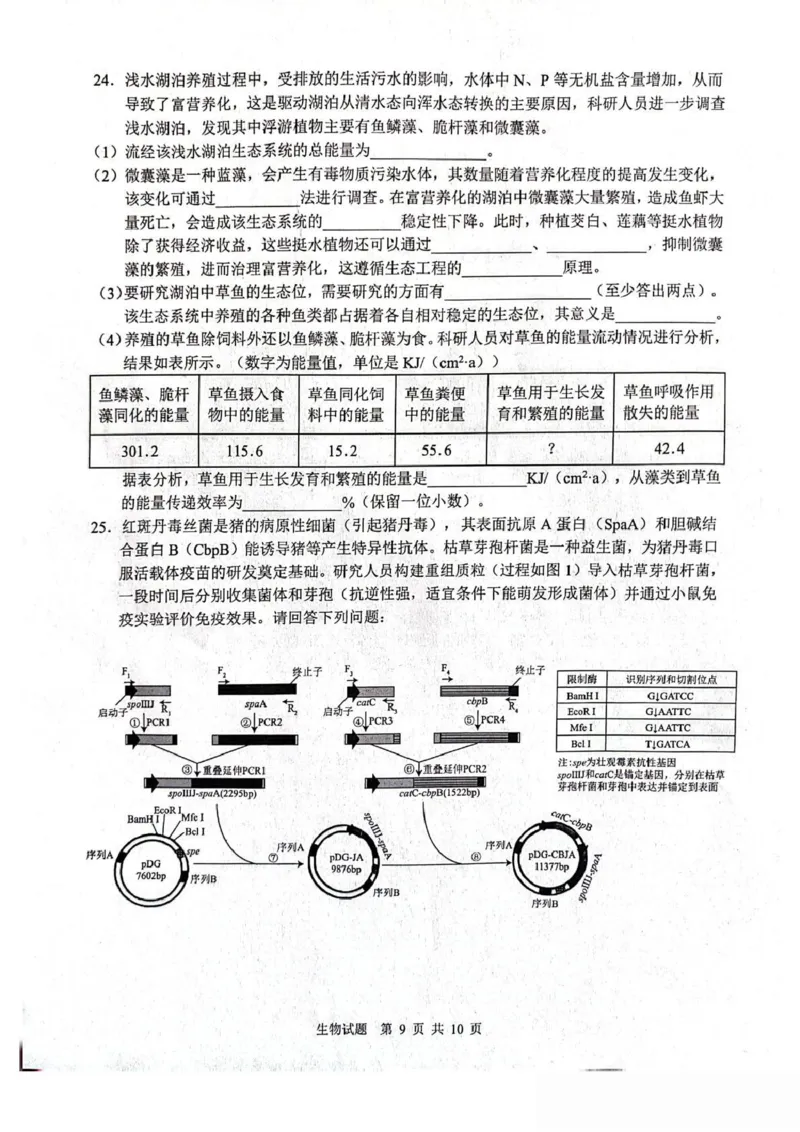 山东省2026届普通高中学业水平4月调研生物试卷（含答案）_2024-2026高三（6-6月题库）_2026年04月高三试卷_260405山东省2026年普通高中学业水平4月调研